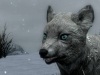 Whiter Snow Fox,    The Elder Scrolls 5: Skyrim