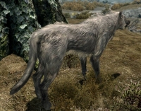 White Wolf,    The Elder Scrolls 5: Skyrim