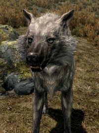White Wolf,    The Elder Scrolls 5: Skyrim