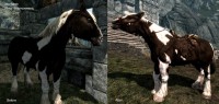 Enhanced Horse Skins,    The Elder Scrolls 5: Skyrim