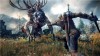The Witcher 3: Wild Hunt - 10  