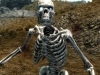 Alternate Skeleton Texture,    The Elder Scrolls 5: Skyrim