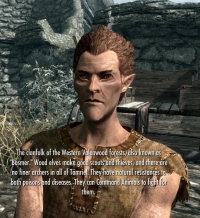 Less Ugly Elven Faces,    The Elder Scrolls 5: Skyrim