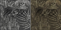 Alternate Skeleton Texture,    The Elder Scrolls 5: Skyrim