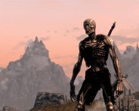 Evil-Bloody Draugr Skin,    The Elder Scrolls 5: Skyrim