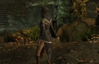 Archmage robe replaced female only,    The Elder Scrolls 5: Skyrim