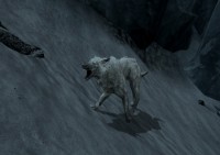 White snow creatures,    The Elder Scrolls 5: Skyrim