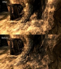 Intricate Spider Webs,    The Elder Scrolls 5: Skyrim