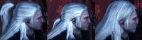 Return of the White Wolf,    Witcher 2: Assassins of Kings