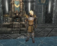 Skyrim Grey Warden Armor/  ,    The Elder Scrolls 5: Skyrim