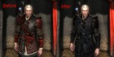 Geralt's armor - enhanced design,     2:  