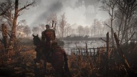 The Witcher 3: Wild Hunt - ТРИ крутых скриншота