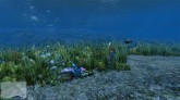GTA 5 - улучшенная дикая жизнь под водой